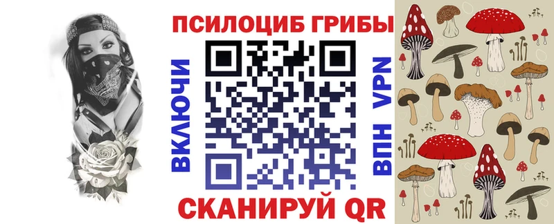 Галлюциногенные грибы Psilocybine cubensis  Славск 